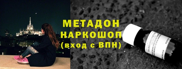 шишки Аркадак