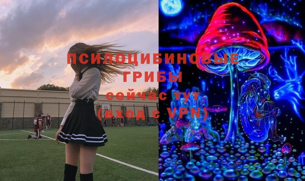 шишки Аркадак