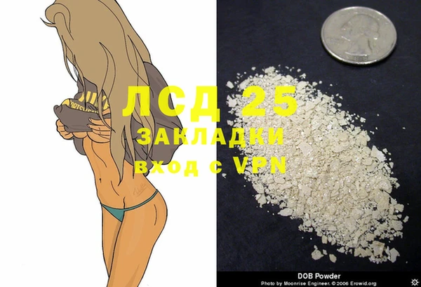spice Арсеньев