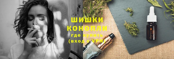 шишки Аркадак